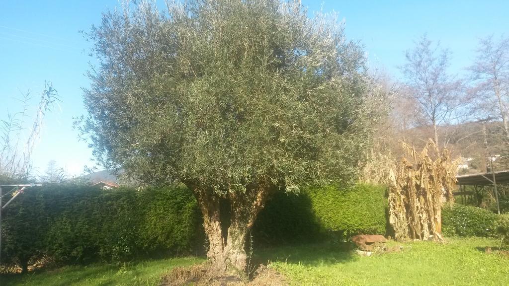 Casa Rural Ibarrondo Etxea 문기아 외부 사진